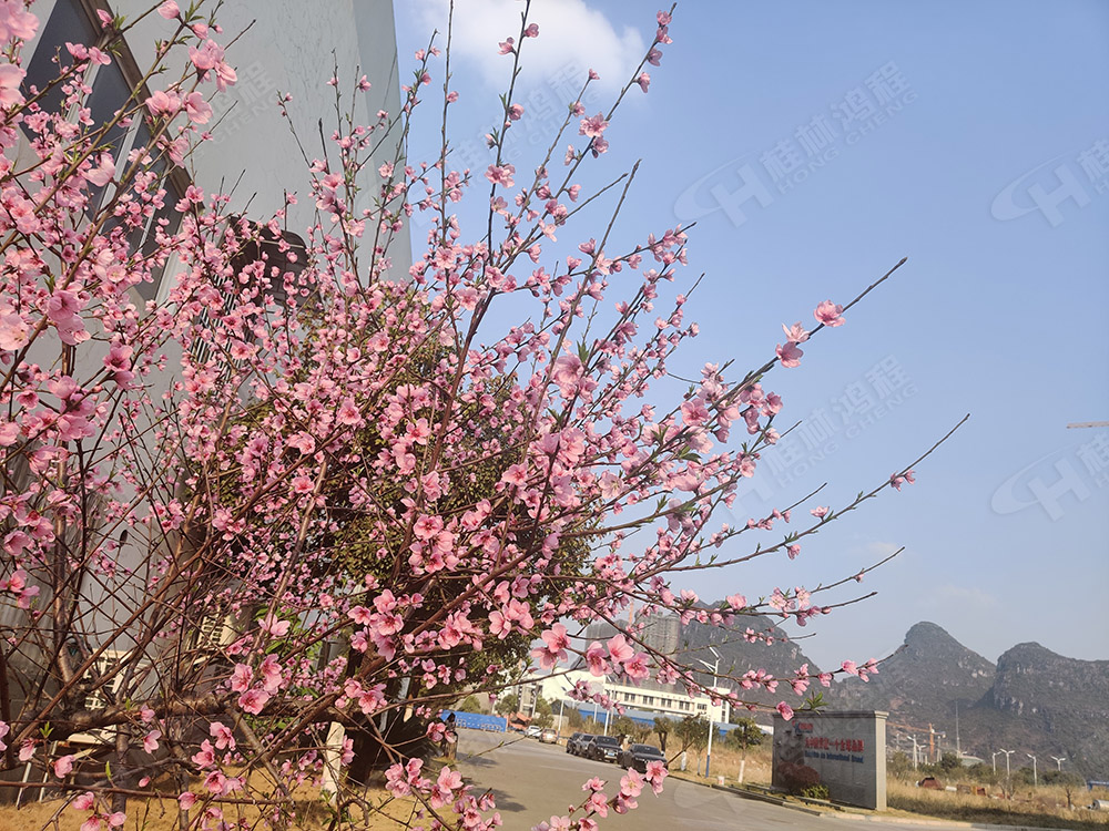 桂林鴻程花團錦簇，滿園春色，邀您一起共賞春景，共商大計！